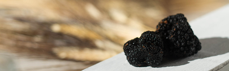 Norcineria Lucana Tartufo Fresco